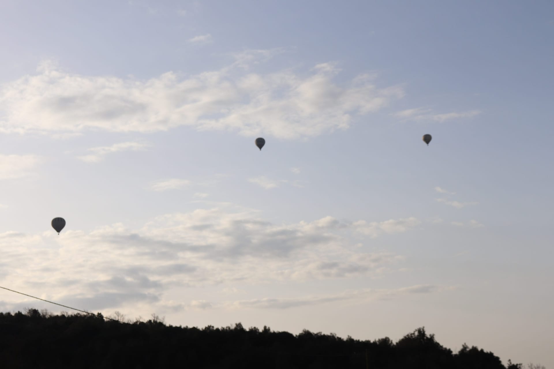 Hot air balloons at sunset over the silhouette of a forest